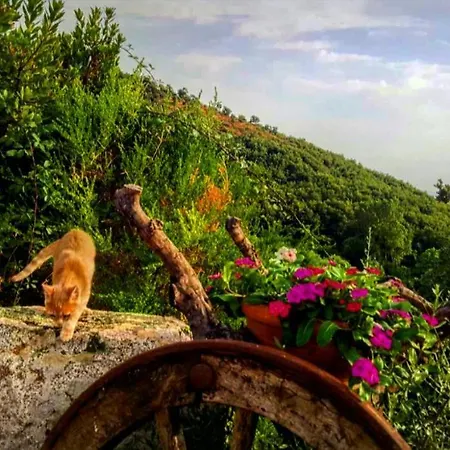 Casa vacanze Casa Centro Sardegna