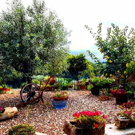 Casa Centro Sardegna Sorgono