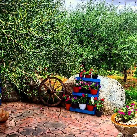 Casa Centro Sardegna Сasa de vacaciones