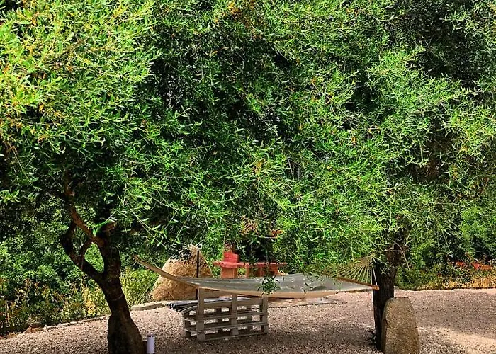 度假居 Casa Centro Sardegna