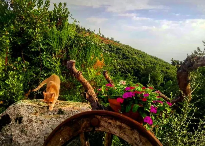 度假居 Casa Centro Sardegna